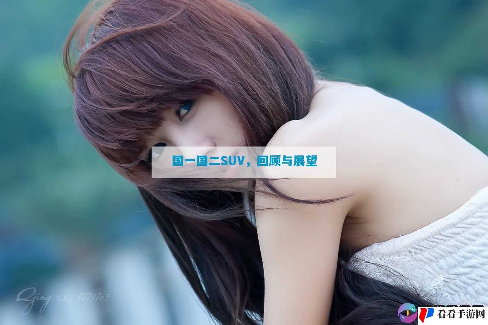 国一国二SUV，回顾与展望