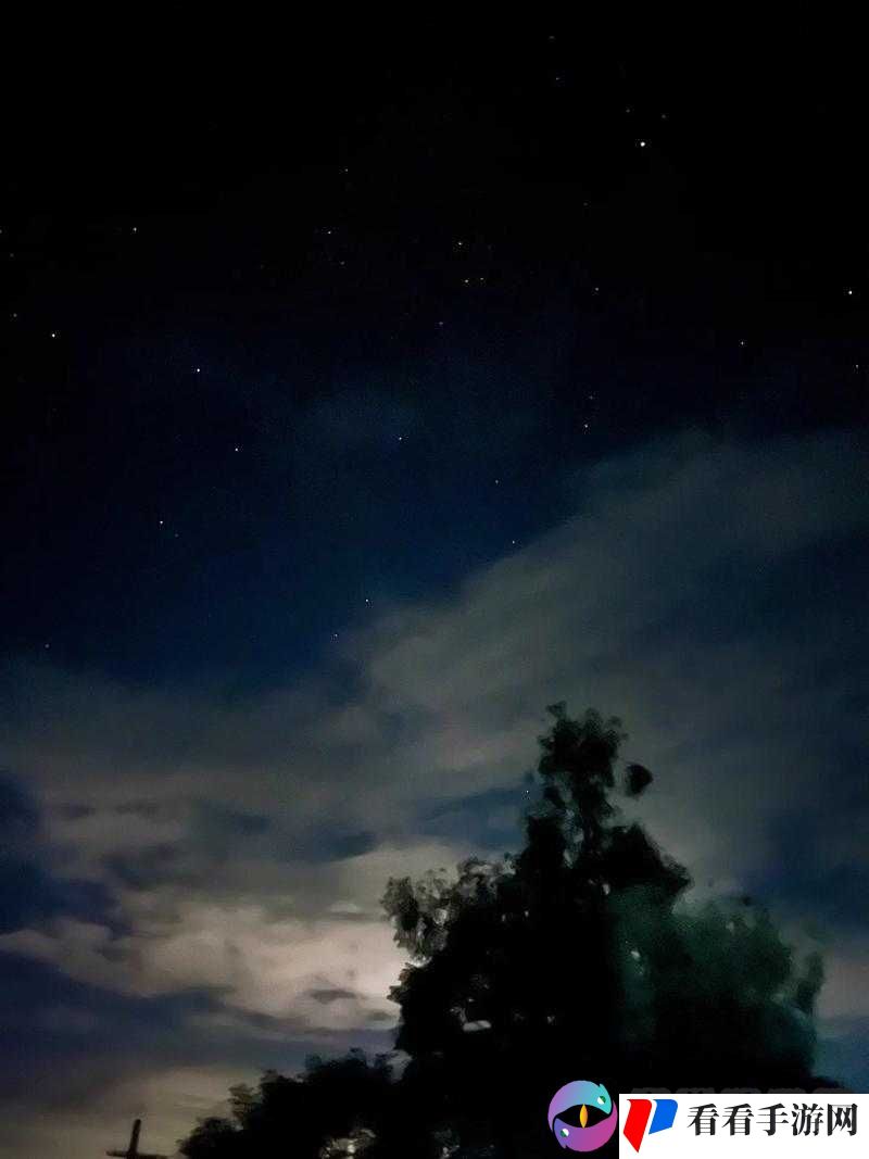 深夜福利导航:给你一个不一样的夜晚