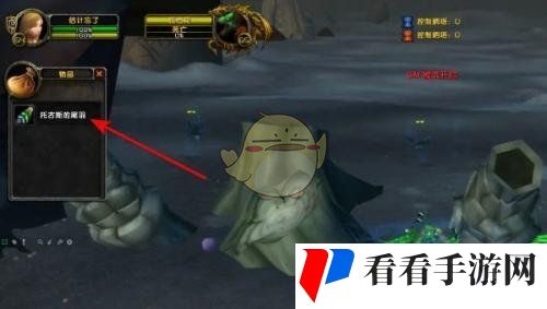 《魔兽世界》托古斯任务攻略