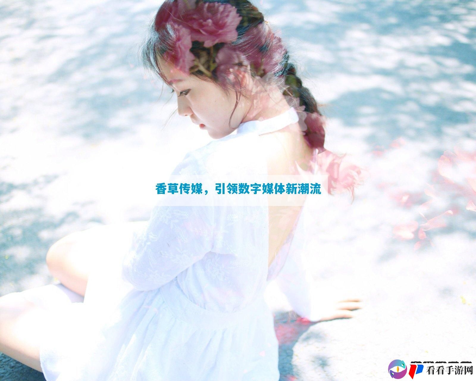 香草传媒，引领数字媒体新潮流