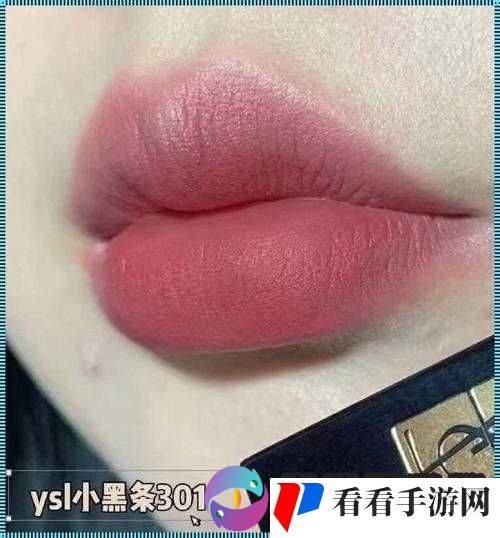 ysl 口红水蜜桃色蛋仔派对号:独特魅力之旅