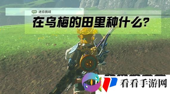 王国之泪在乌梅的田里种什么攻略