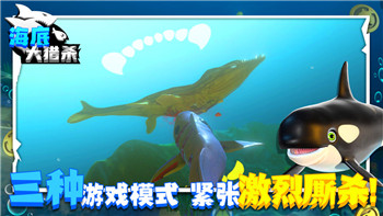 《浮岛冒险》灯塔流技能加点及全流程攻略！