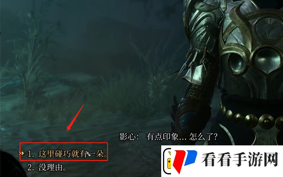 博德之门3夜兰花怎么送
