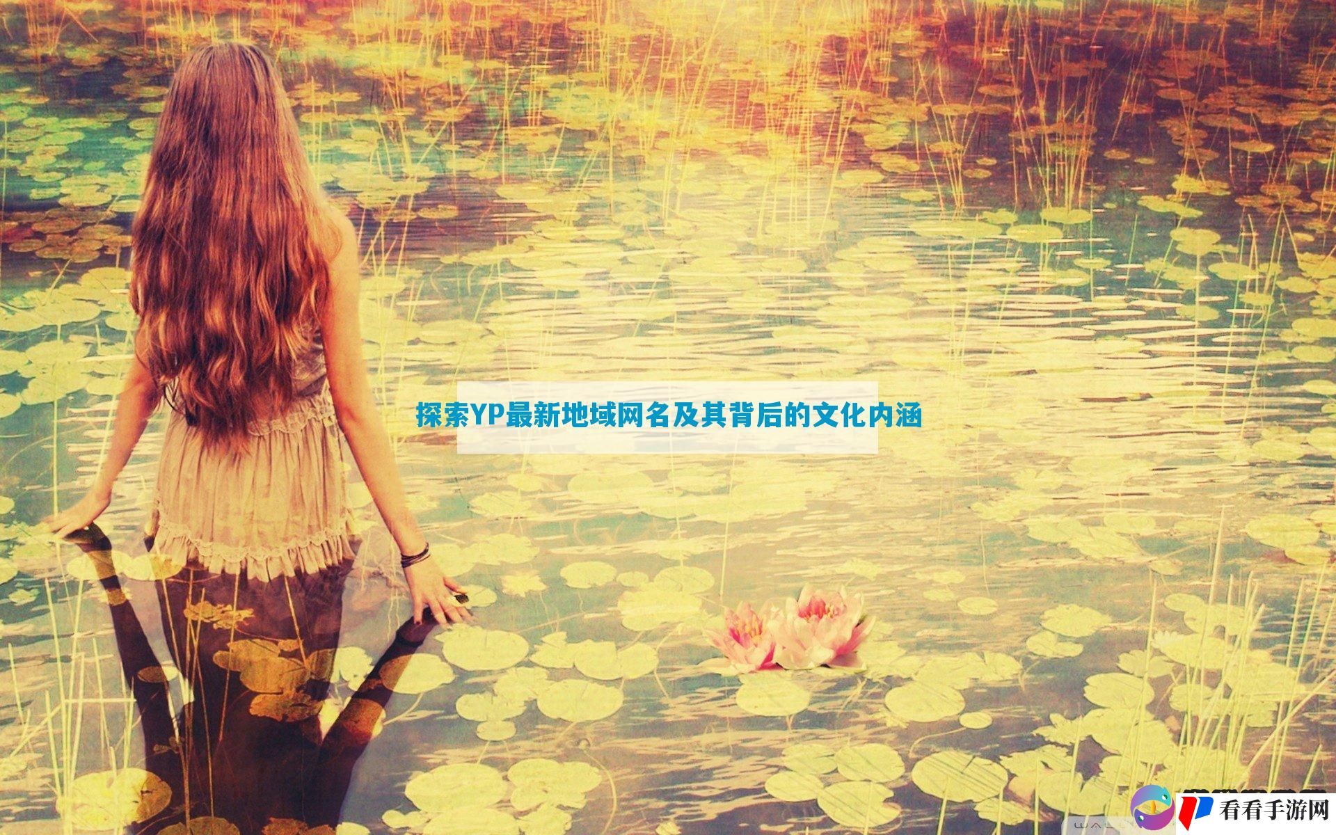 探索YP最新地域网名及其背后的文化内涵