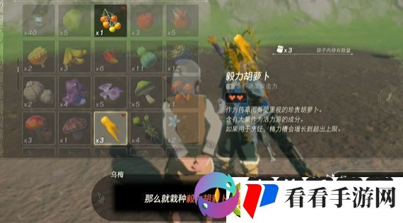 王国之泪在乌梅的田里种什么攻略