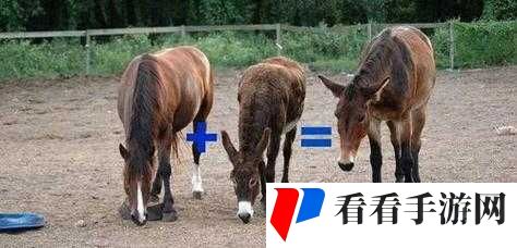 傻大壮长着驴一样的东西是什么：探秘真相