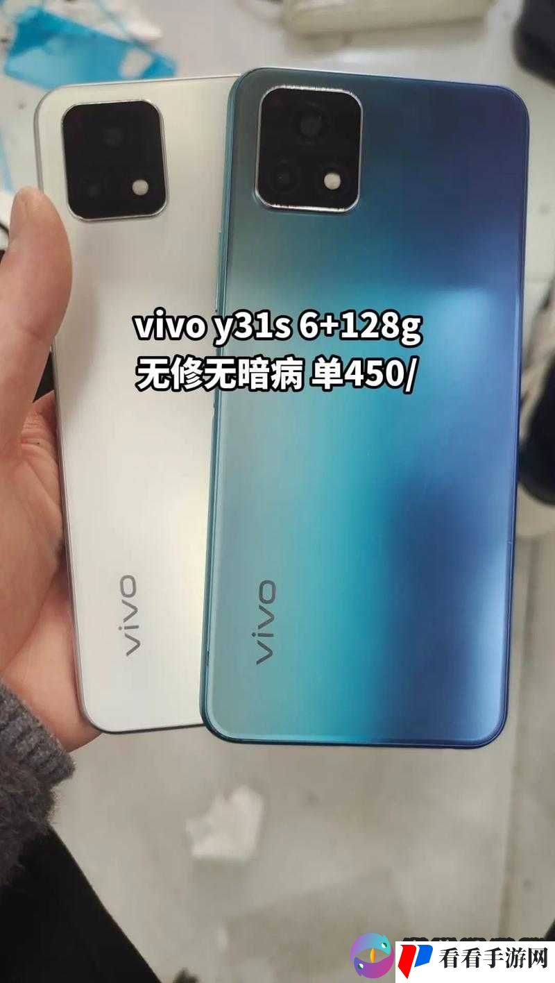 成色好的 y31s:超值二手手机
