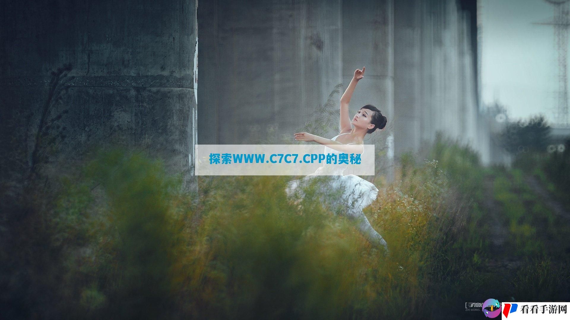 探索WWW.C7C7.CPP的奥秘