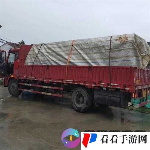 犯罪大师办公室**案答案详细一览 所有谜底全知晓