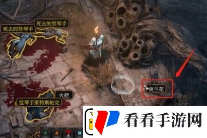博德之门3夜兰花怎么送