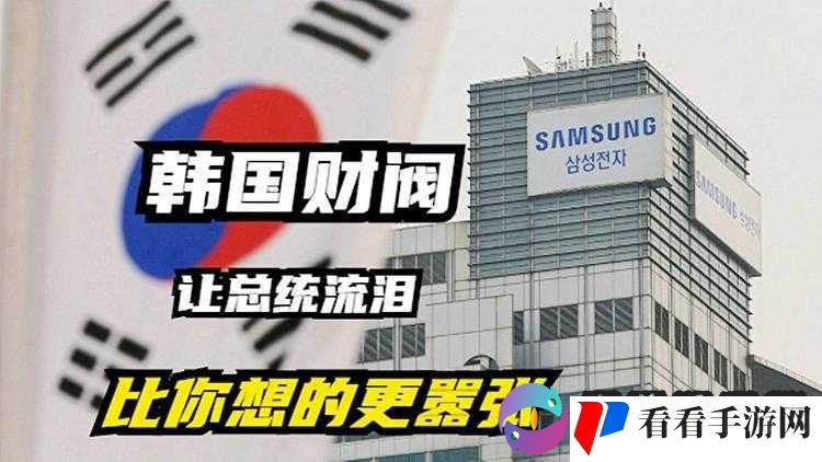 韩国财阀的秘密生活:权力、腐败与挣扎