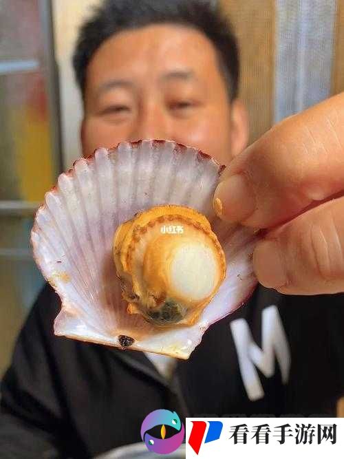 我想吃你扇贝里的水,欲求不满的渴望
