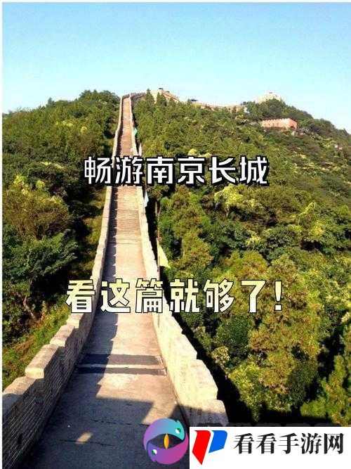 www.7777 怡红院:探寻别样风情