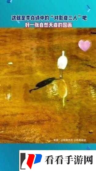 影之诗深渊鬼克星