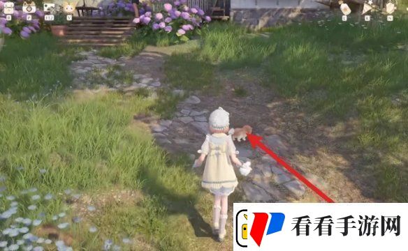 无限暖暖汪汪毛线获取方法