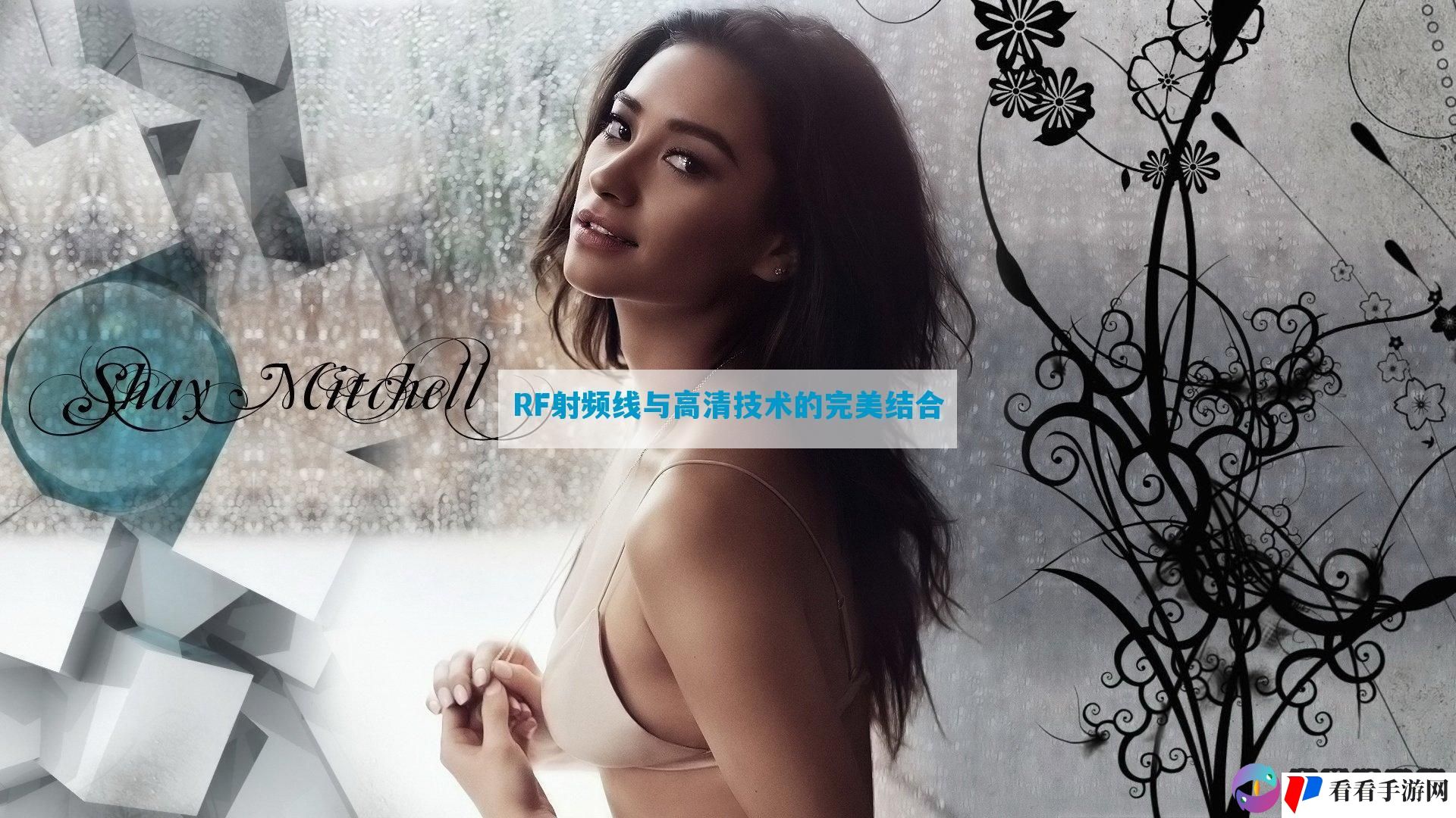 RF射频线与高清技术的完美结合
