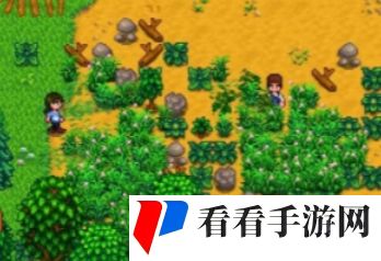 《星露谷物语》青葱技术怎么获取