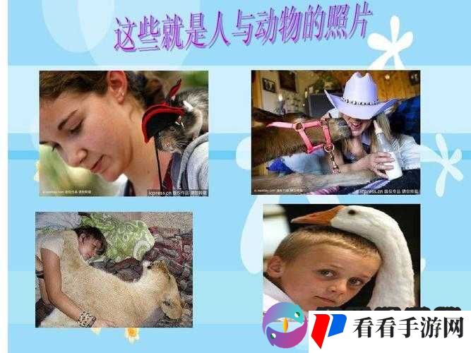 人与动物 PPT 免费模板大全将开拓国内市场:未来可期