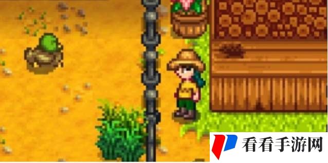 《星露谷物语》文森特位置在哪