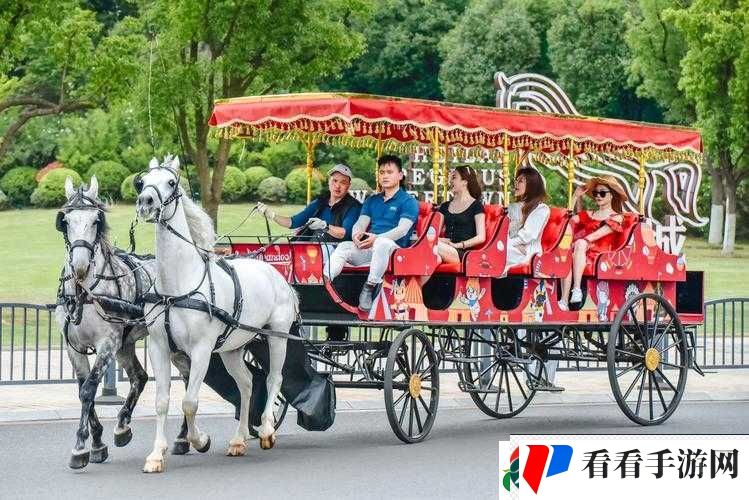 马车上的欢乐:畅享旅途之趣