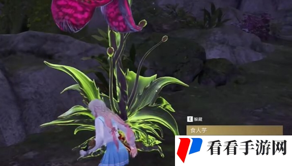 《永劫无间》龙隐洞天食人芋在哪