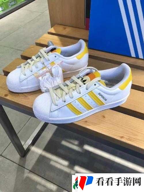 三叶草 gz6985:一款独特的存在