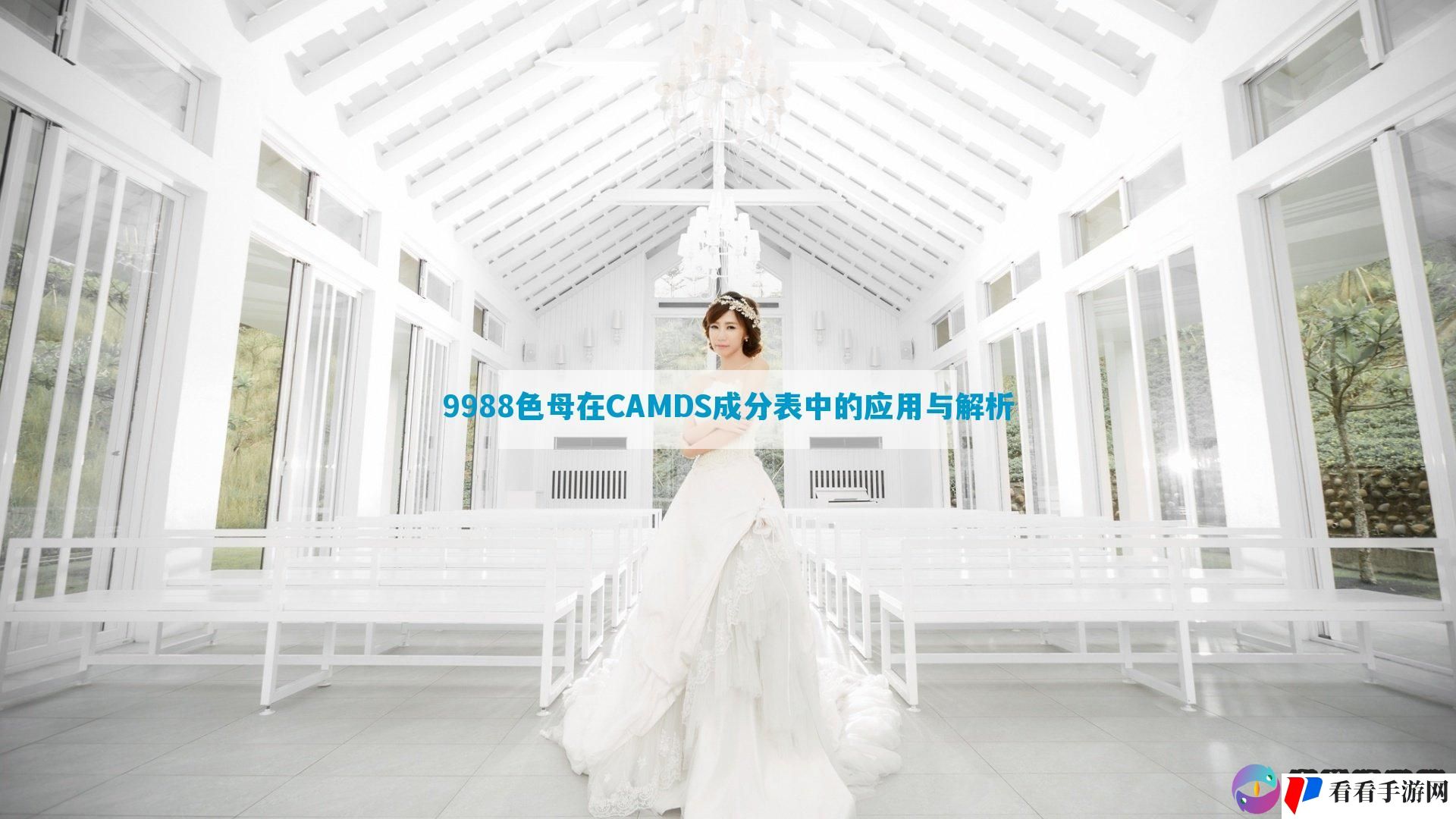 9988色母在CAMDS成分表中的应用与解析