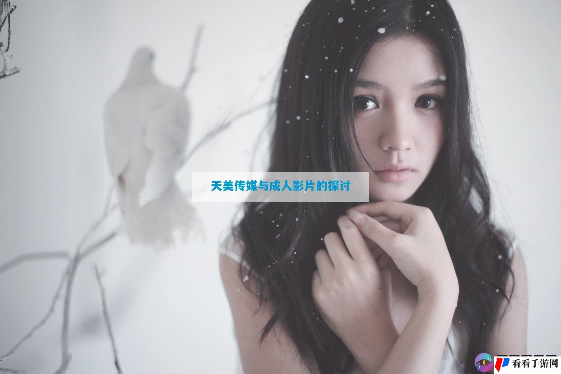 天美传媒与成人影片的探讨