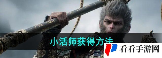 《黑神话悟空》小活师获得方法