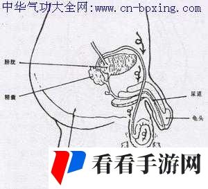 交而不泄的方法:持久之道