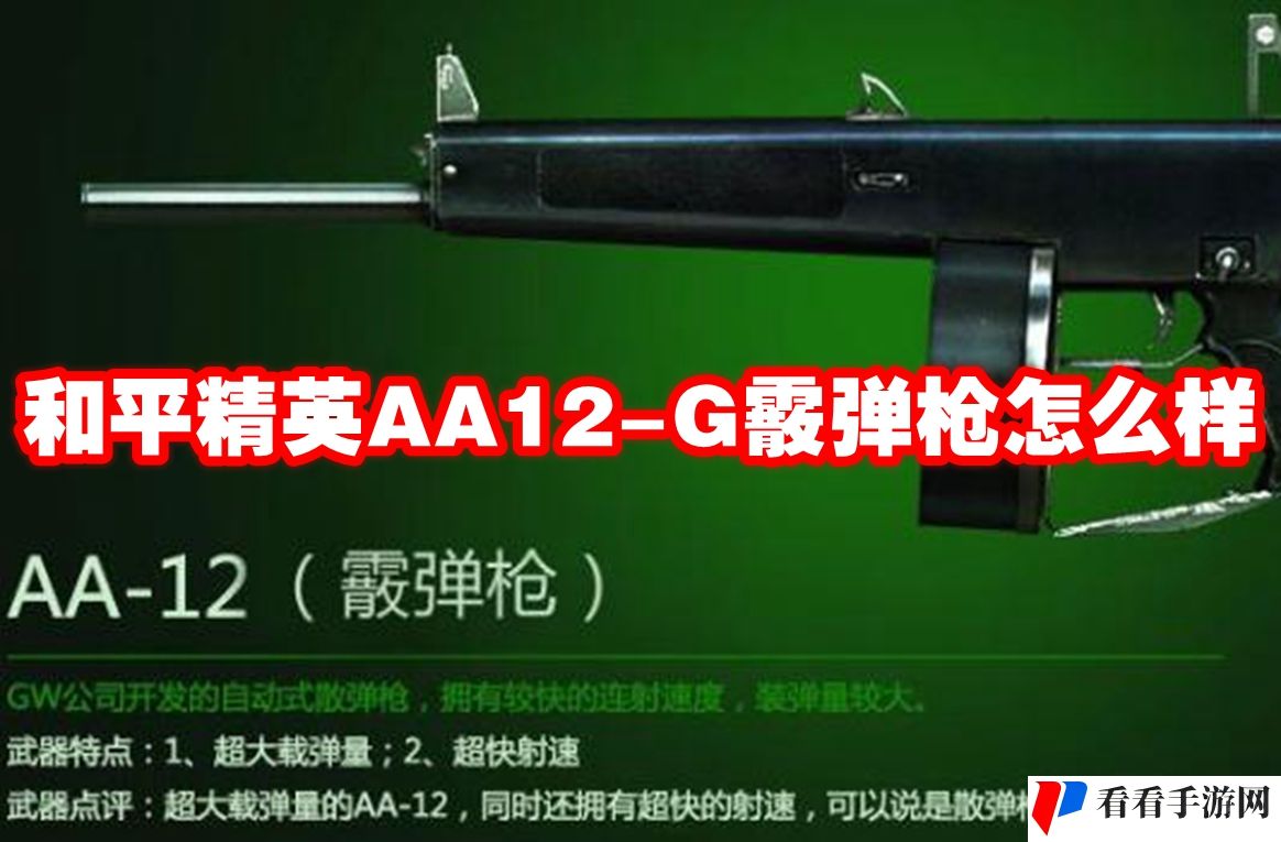 和平精英AA12-G霰弹枪怎么样