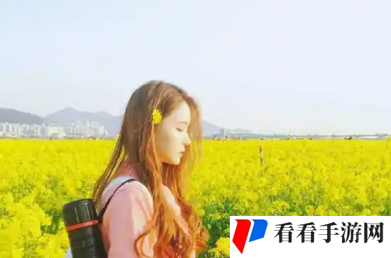 4虎cvt4wd入口：我来告诉你！