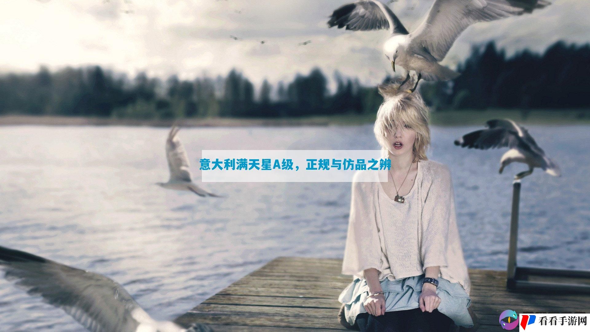 意大利满天星A级，正规与仿品之辨