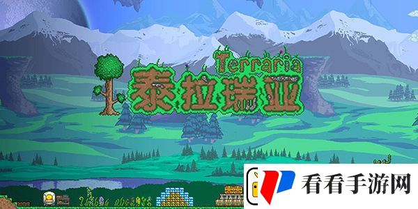 泰拉瑞亚女巫扫帚怎么获得