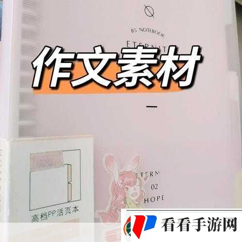 把PP打烂的作文