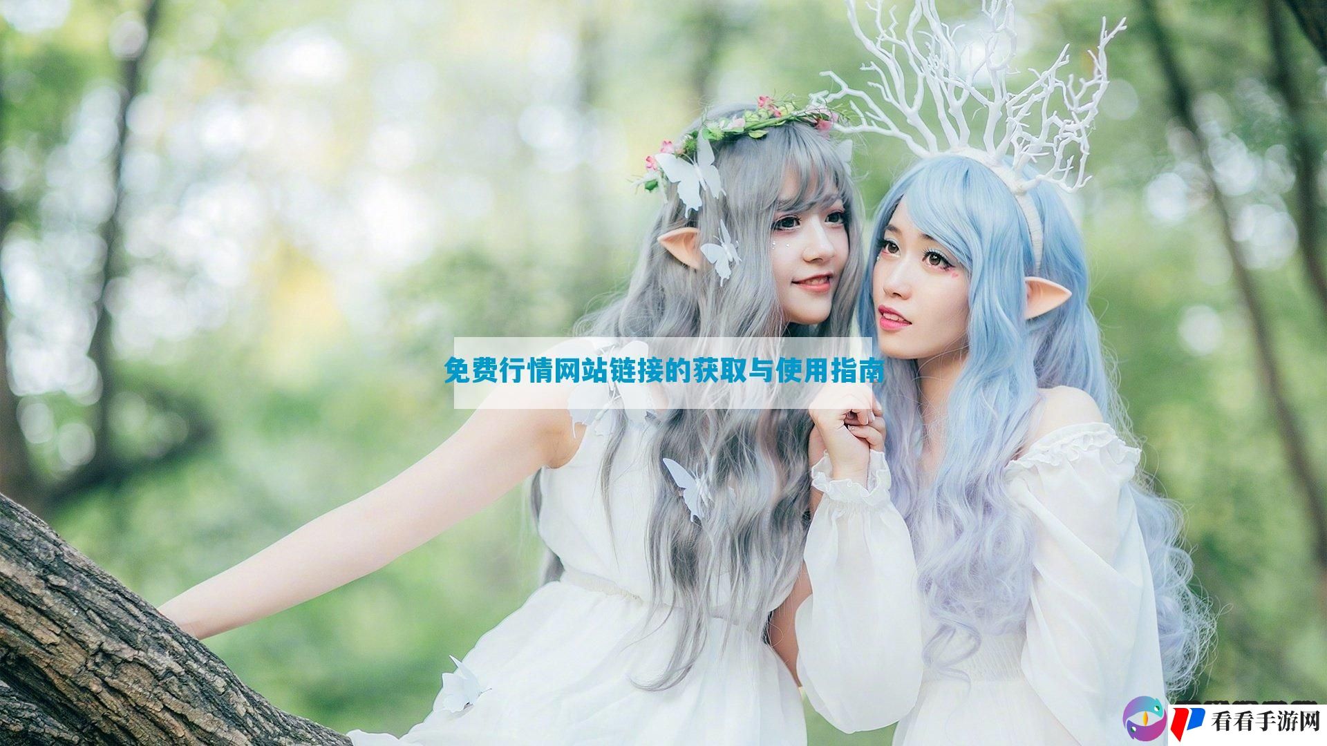 免费行情网站链接的获取与使用指南