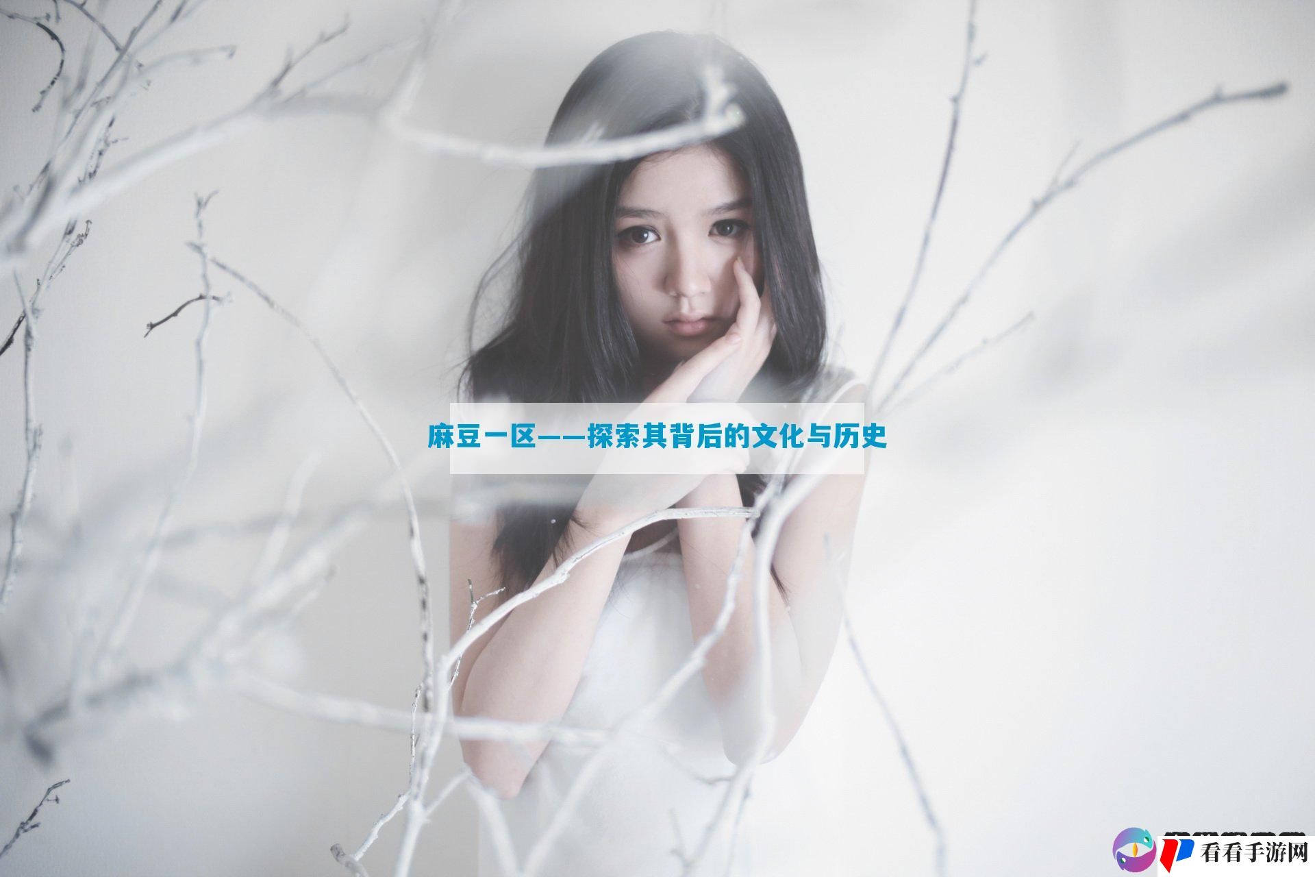 麻豆一区——探索其背后的文化与历史