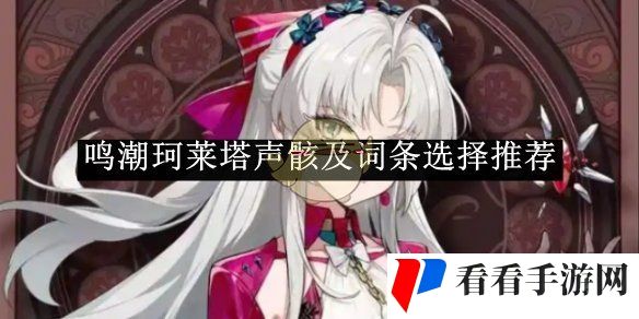《鸣潮》珂莱塔声骸及词条选择推荐