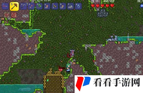 泰拉瑞亚的魔法花怎么得到-泰拉瑞亚魔力花获取攻略