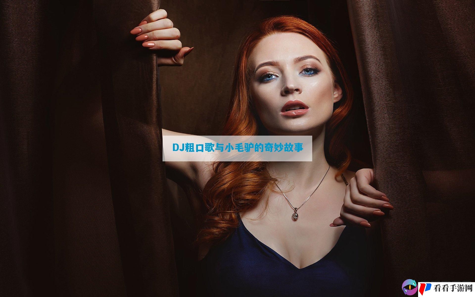 DJ粗口歌与小毛驴的奇妙故事