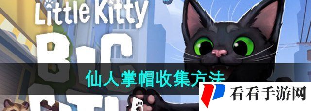 《小猫咪大城市》仙人掌帽收集方法