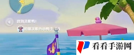 《心动小镇》沙滩乐园第5天淡紫色鸭子位置