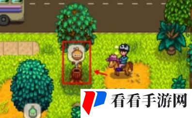 《星露谷物语》熊的知识怎么获得