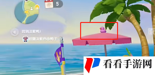 《心动小镇》沙滩乐园季第五天淡紫色小鸭子位置