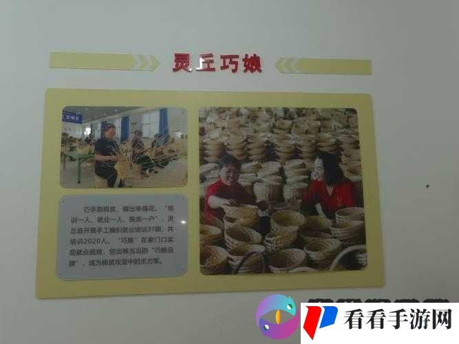 大巧娘与大庆第 41 回区别之分析