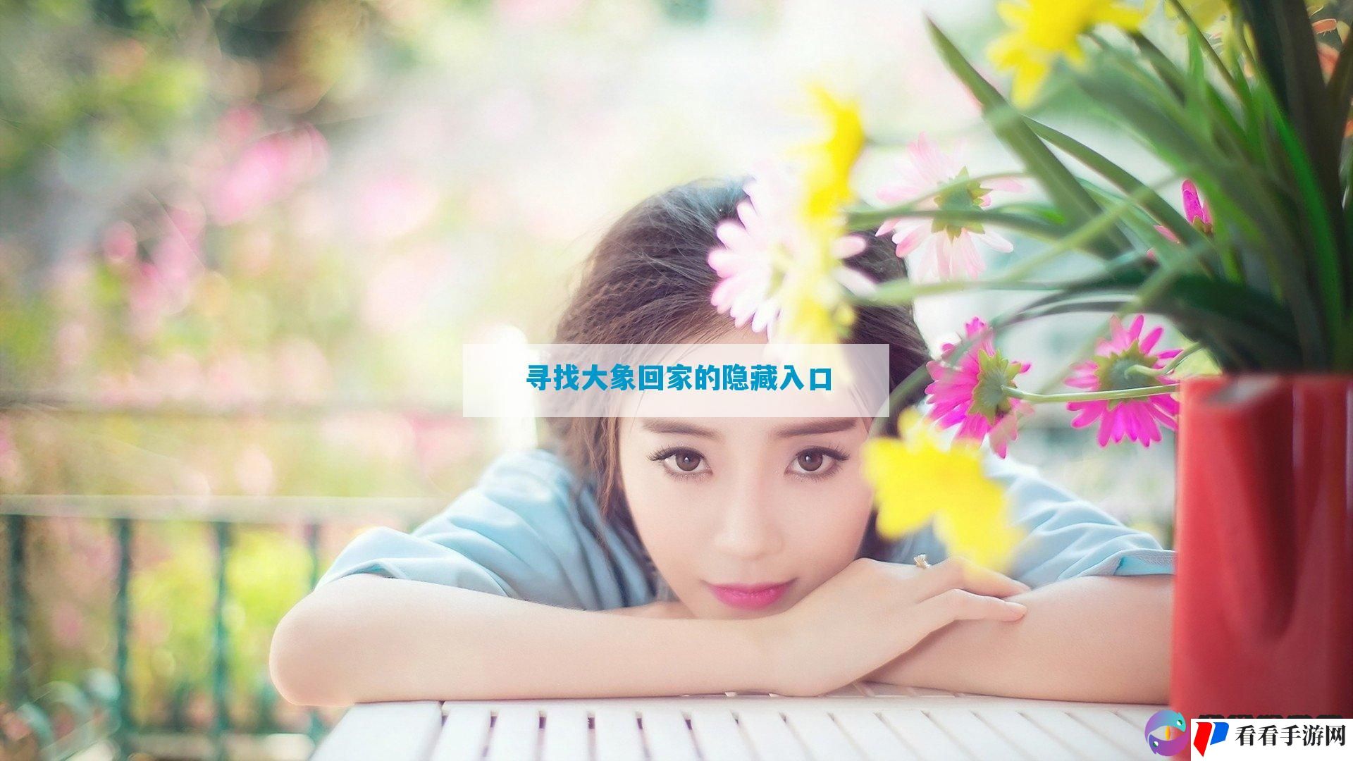 寻找大象回家的隐藏入口