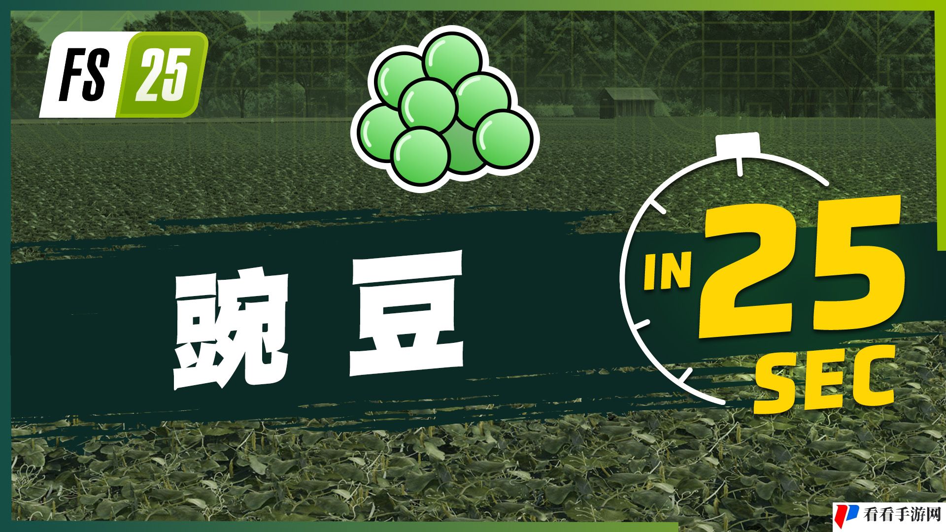 《Farming Simulator 25（模拟农场25）》最新资讯公开：现已发布新农作物大米和豌豆的宣传片！