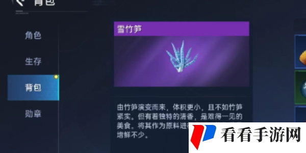 星球重启竹笋煲怎么做-竹笋煲做法攻略