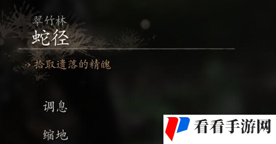 《黑神话悟空》未经点化无法吸存精魄解决方法